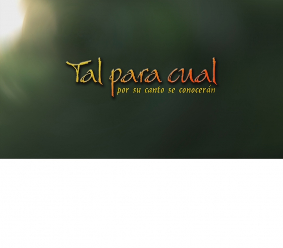 En carrera